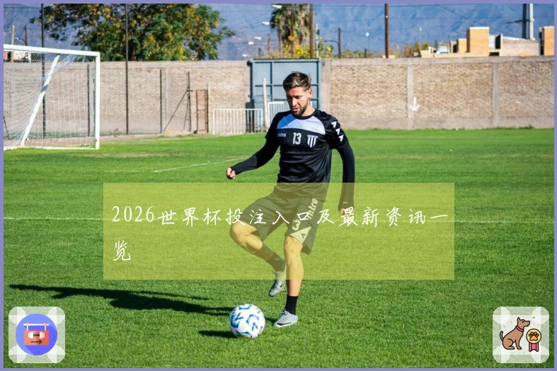 2026世界杯投注入口及最新资讯一览