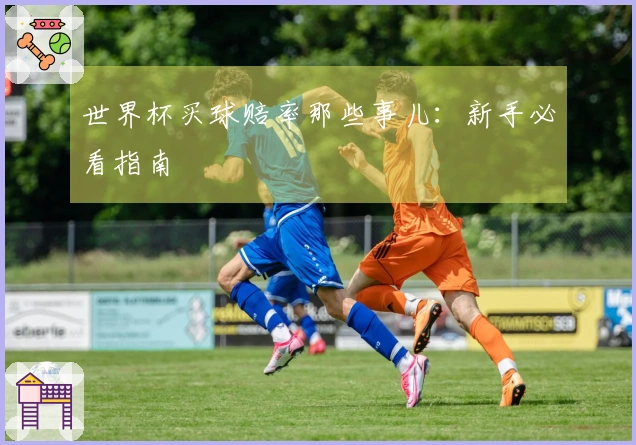 世界杯买球赔率那些事儿：新手必看指南
