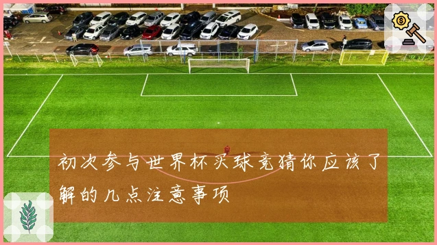初次参与世界杯买球竞猜你应该了解的几点注意事项
