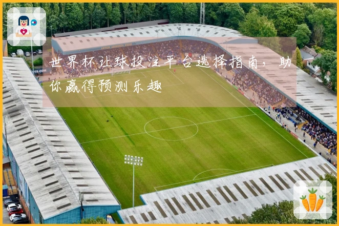 世界杯让球投注平台选择指南，助你赢得预测乐趣