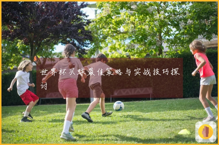 世界杯买球最佳策略与实战技巧探讨